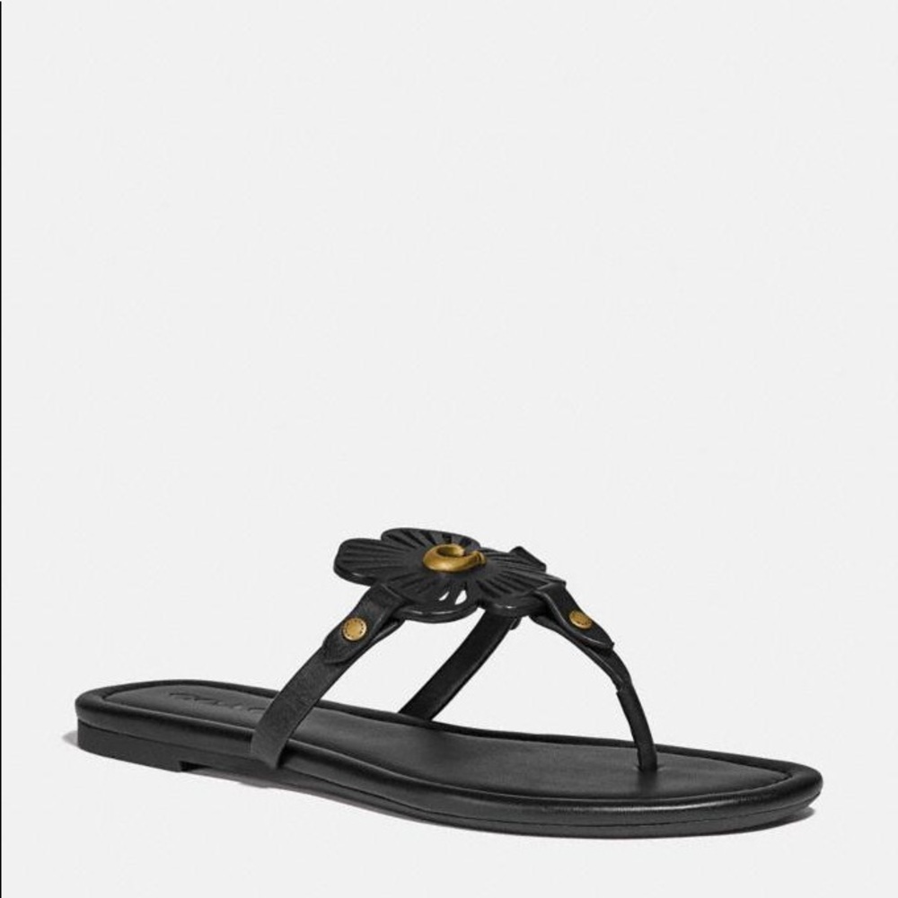 ❌❌SOLD❌❌ Coach Sandals